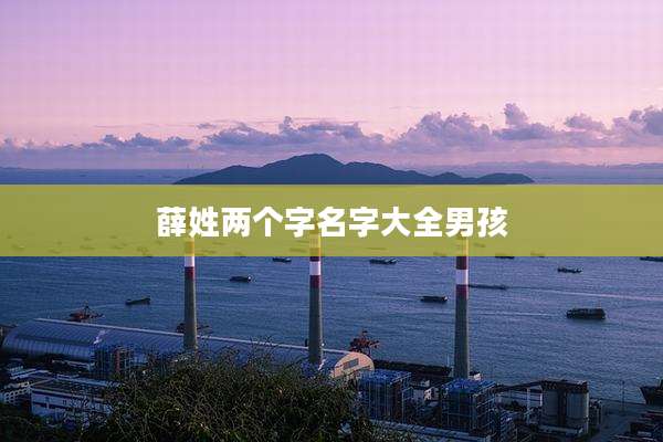 薛姓两个字名字大全男孩