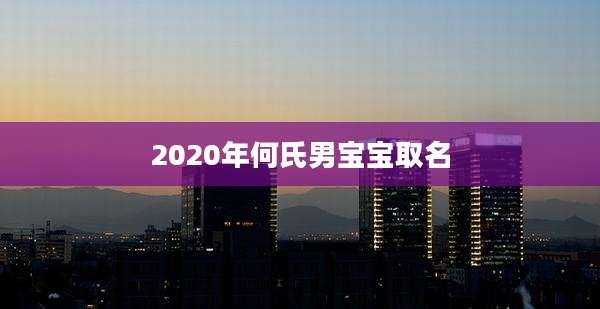 2020年何氏男宝宝取名