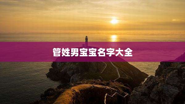 管姓男宝宝名字大全