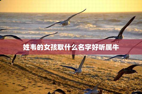 姓韦的女孩取什么名字好听属牛
