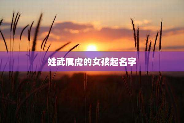 姓武属虎的女孩起名字