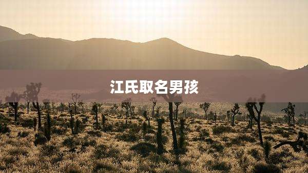江氏取名男孩