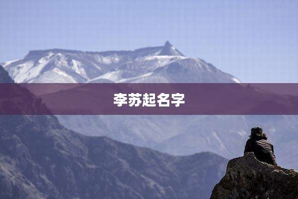 李苏起名字