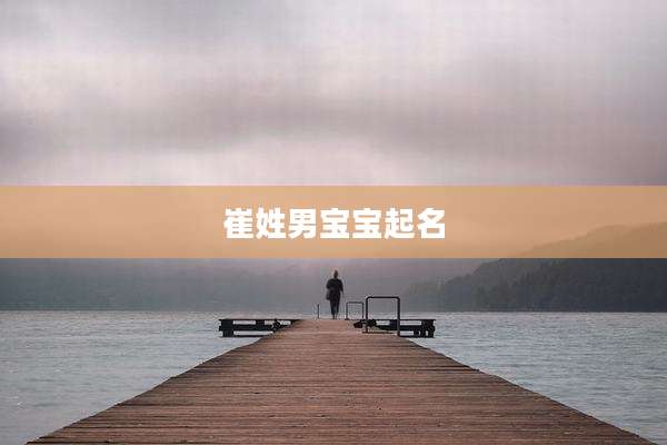 崔姓男宝宝起名