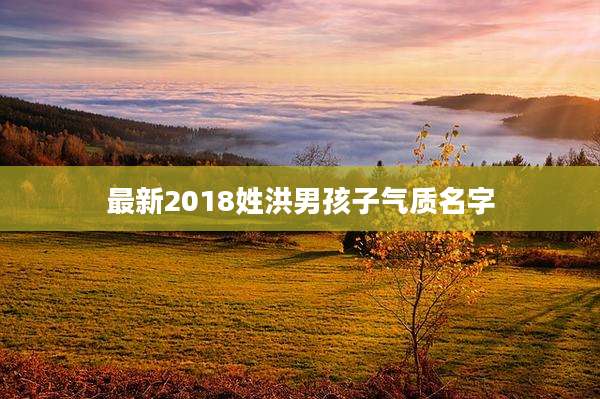 最新2018姓洪男孩子气质名字