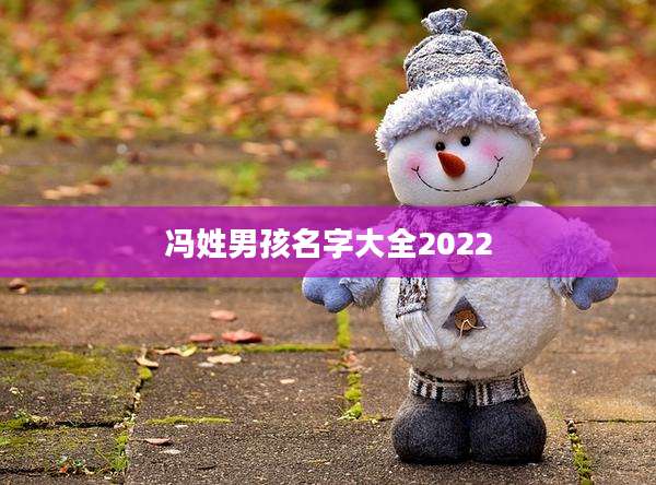 冯姓男孩名字大全2022