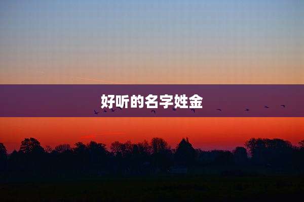 好听的名字姓金