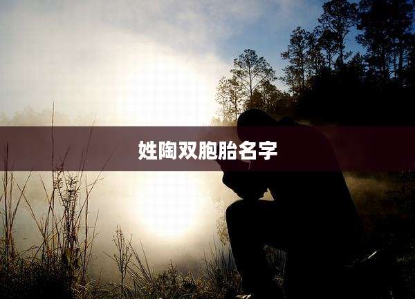 姓陶双胞胎名字