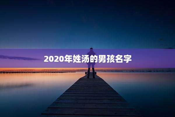 2020年姓汤的男孩名字