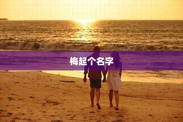 梅起个名字