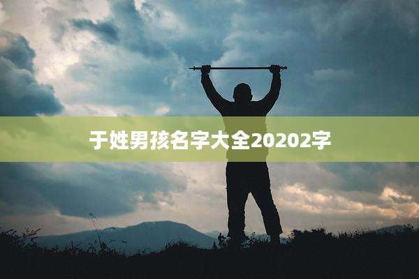 于姓男孩名字大全20202字
