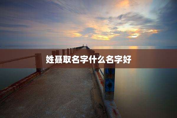 姓聂取名字什么名字好