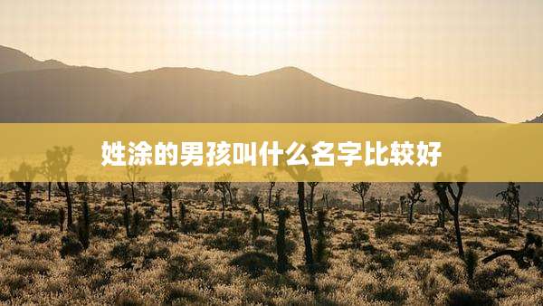 姓涂的男孩叫什么名字比较好