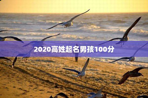 2020高姓起名男孩100分