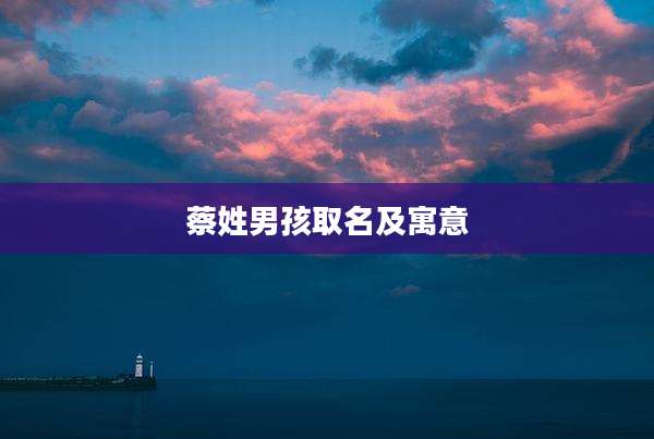 蔡姓男孩取名及寓意