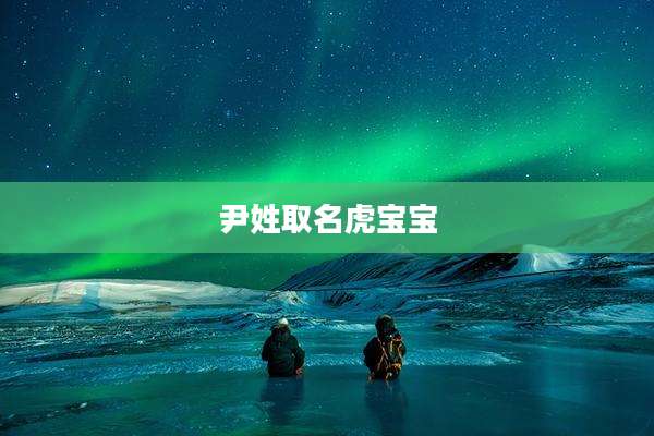 尹姓取名虎宝宝