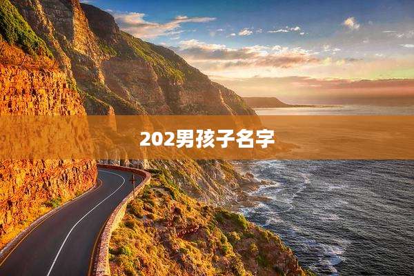 202男孩子名字