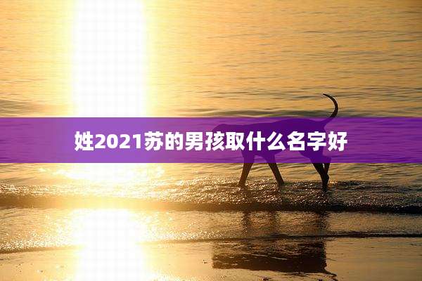 姓2021苏的男孩取什么名字好