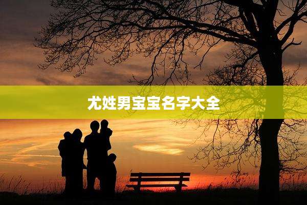 尤姓男宝宝名字大全