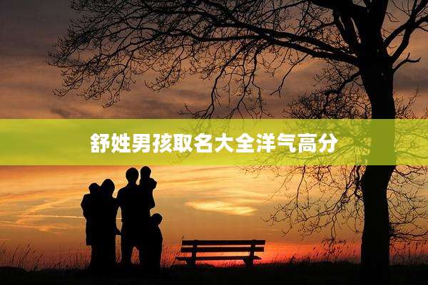 舒姓男孩取名大全洋气高分