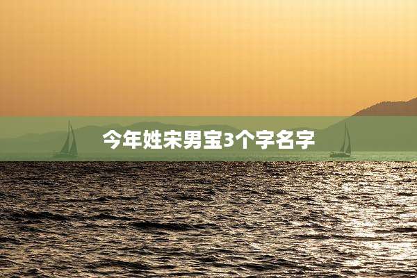 今年姓宋男宝3个字名字