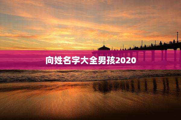 向姓名字大全男孩2020