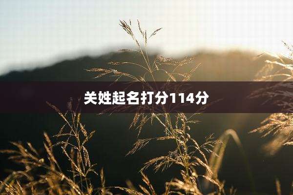 关姓起名打分114分