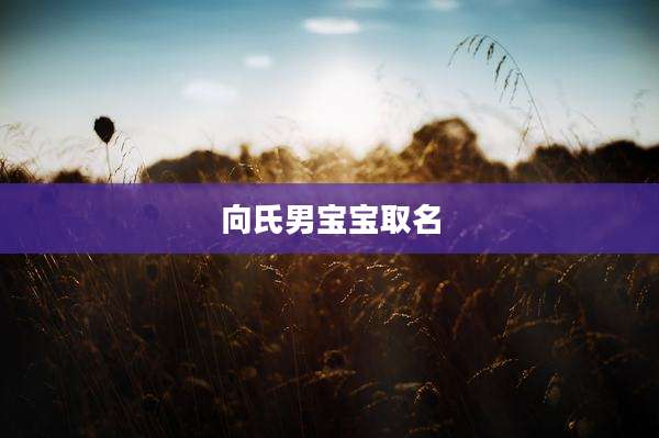 向氏男宝宝取名