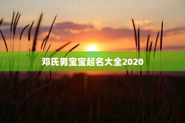 邓氏男宝宝起名大全2020