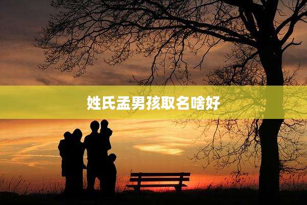 姓氏孟男孩取名啥好