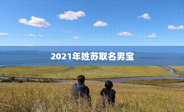 2021年姓苏取名男宝
