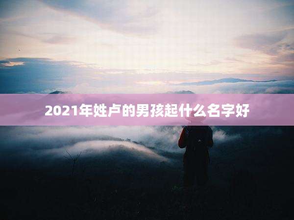 2021年姓卢的男孩起什么名字好