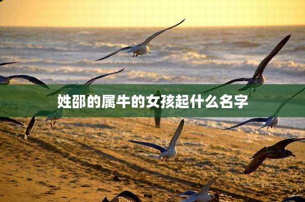 姓邵的属牛的女孩起什么名字