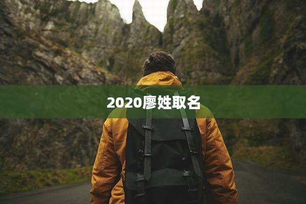 2020廖姓取名