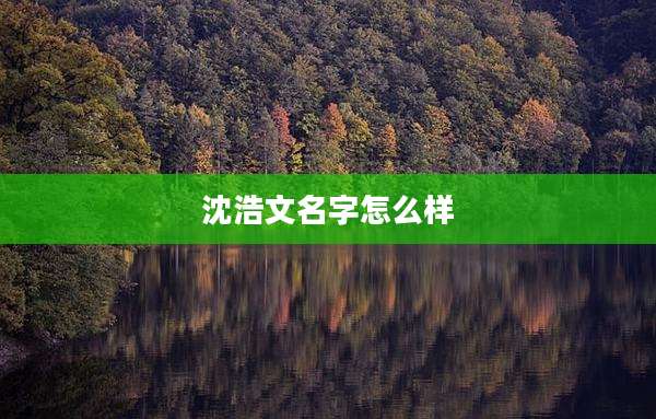 沈浩文名字怎么样