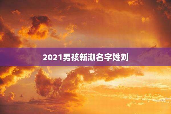 2021男孩新潮名字姓刘