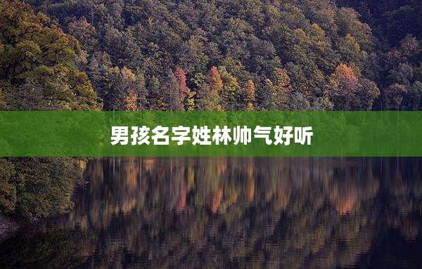 男孩名字姓林帅气好听