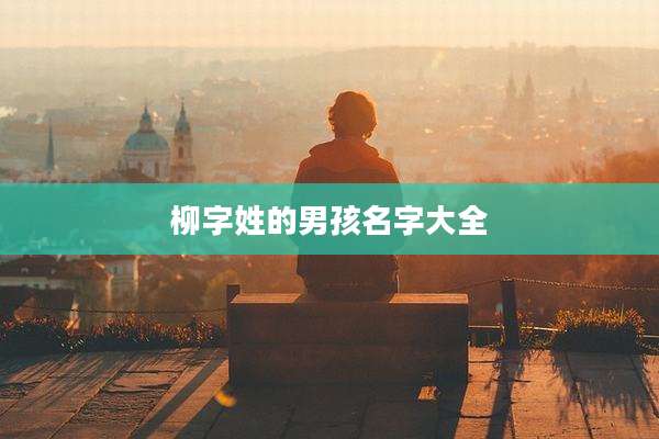 柳字姓的男孩名字大全