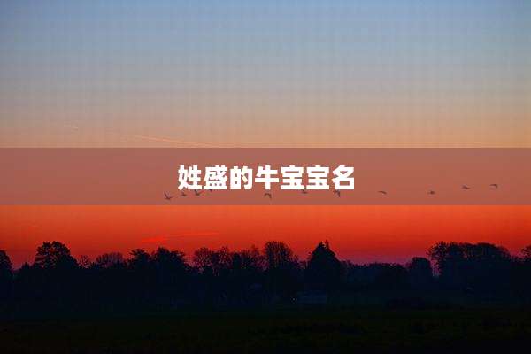 姓盛的牛宝宝名