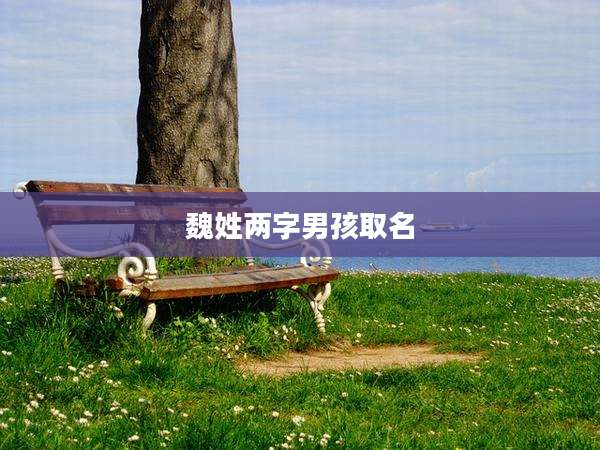 魏姓两字男孩取名