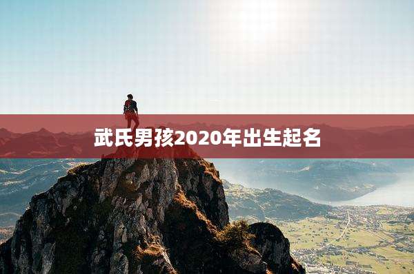 武氏男孩2020年出生起名